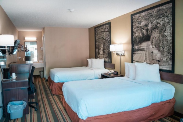 Super 8 by Wyndham Columbia SC / Ft. Jackson image 16